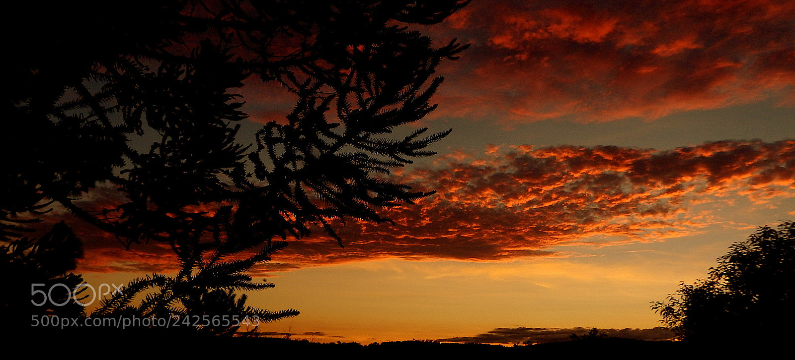 Fujifilm FinePix SL1000 sample photo. Landscape .. photography
