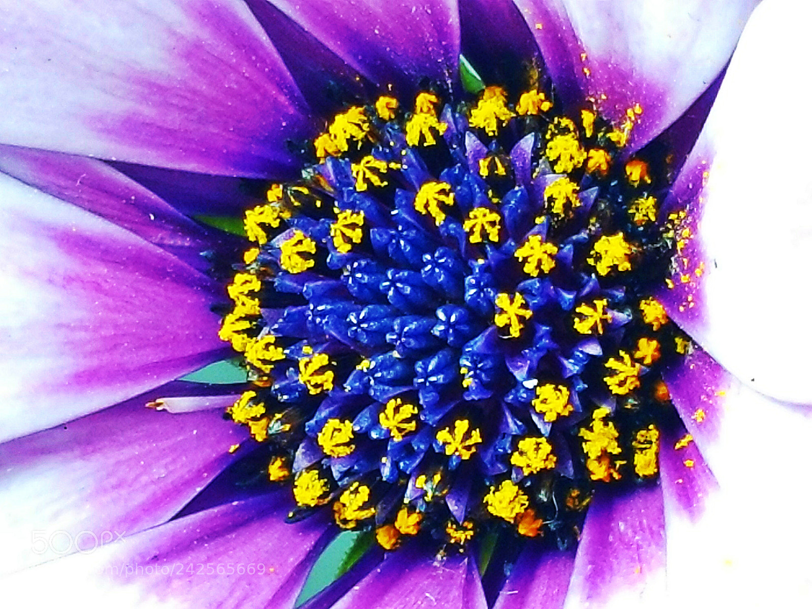 Samsung Galaxy Note4 sample photo. 227 photography