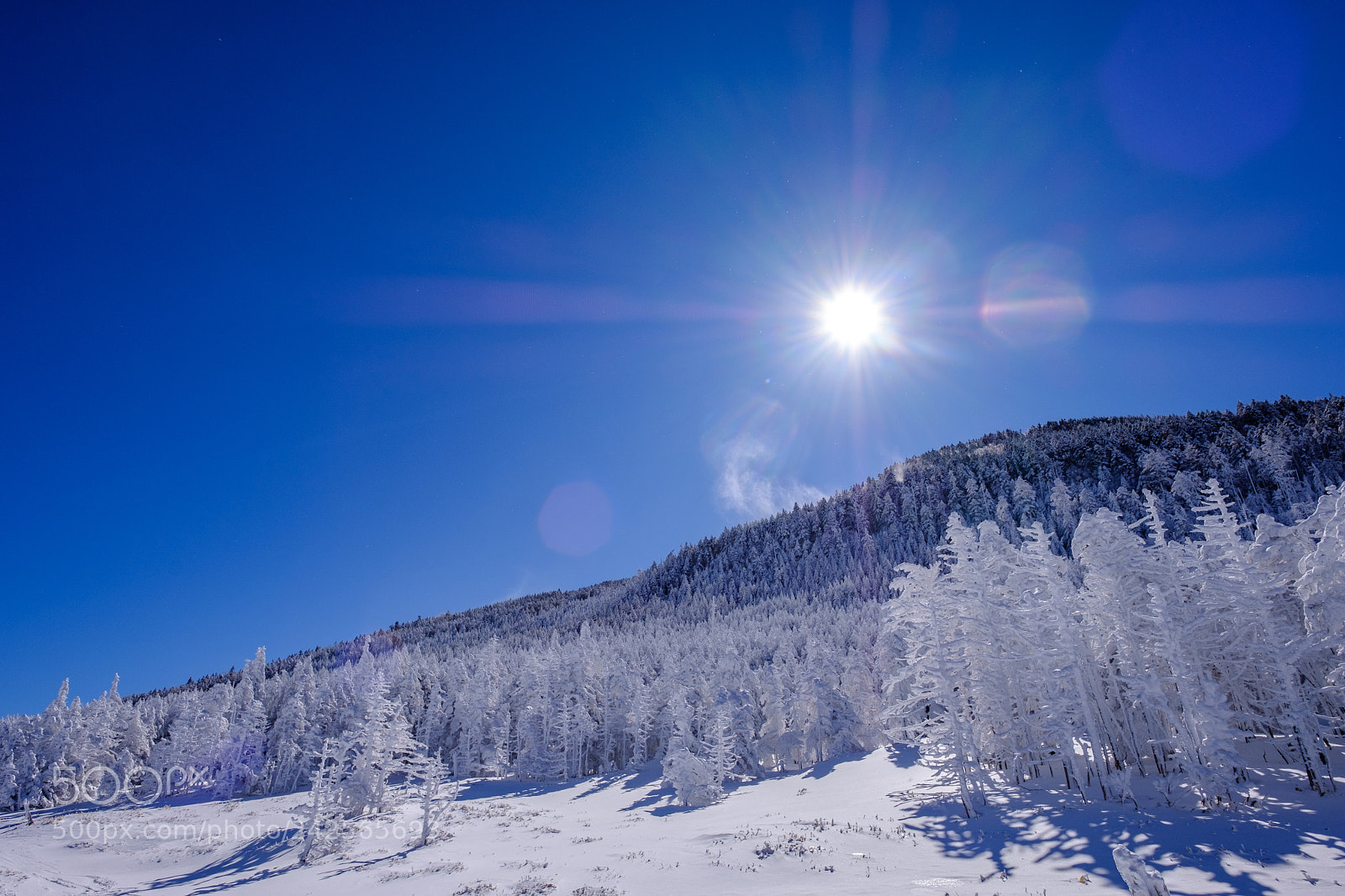 Fujifilm X-T2 sample photo. 太陽と雪の眩しさ photography