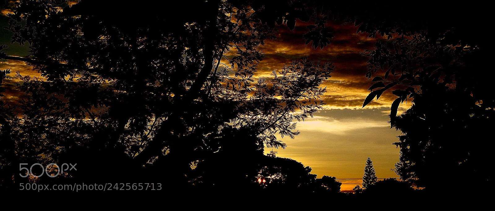 Fujifilm FinePix SL1000 sample photo. Summer landscape ... photography