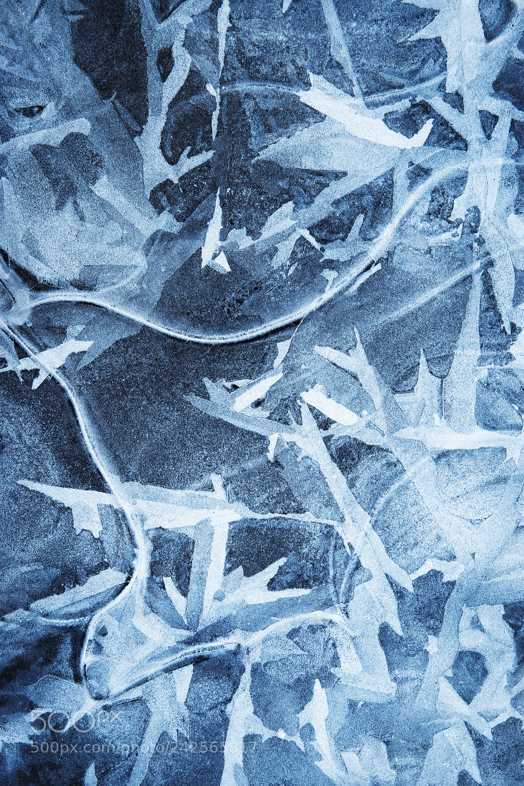 Nikon D5500 sample photo. Abstract on frozen water photography