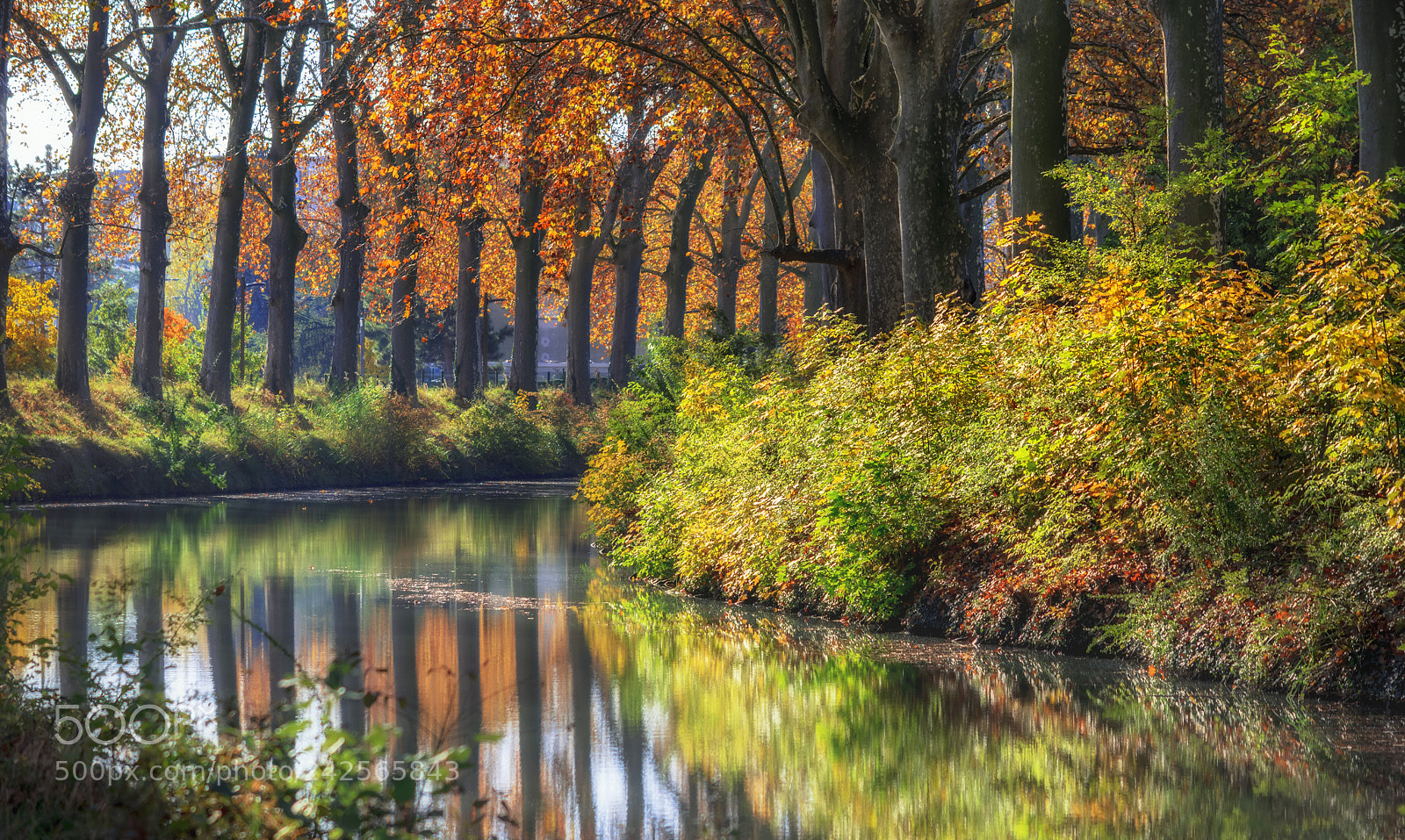 Nikon D7200 sample photo. Curve on the canal. photography
