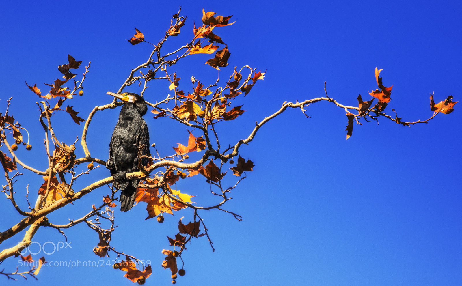 Nikon D7200 sample photo. Morning sunbath. photography