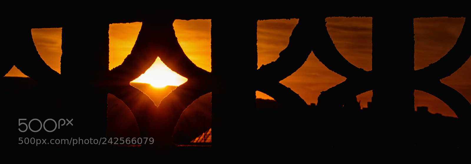 Nikon D5100 sample photo. Sunset | photo 8 of 365 | photography