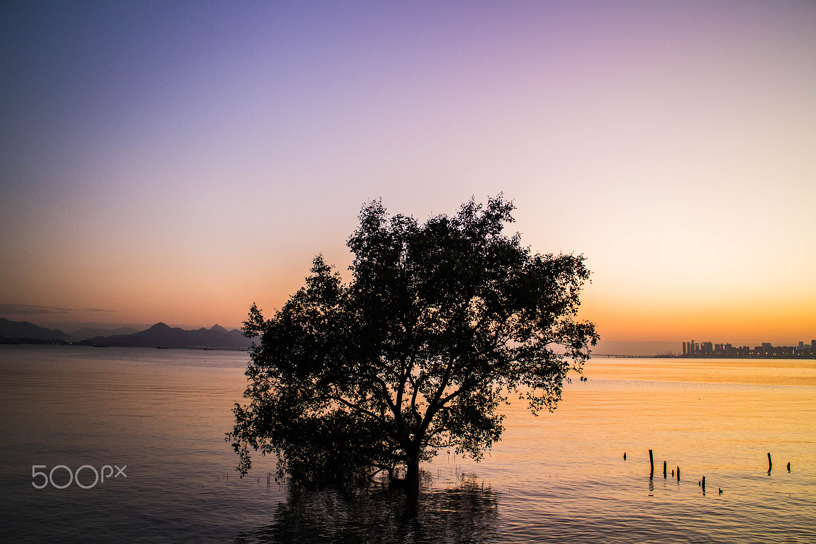 Canon EOS M2 sample photo. Twilight tree photography