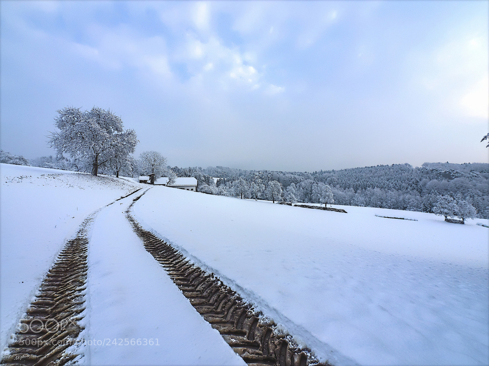 Olympus OM-D E-M1 sample photo. Homeward photography