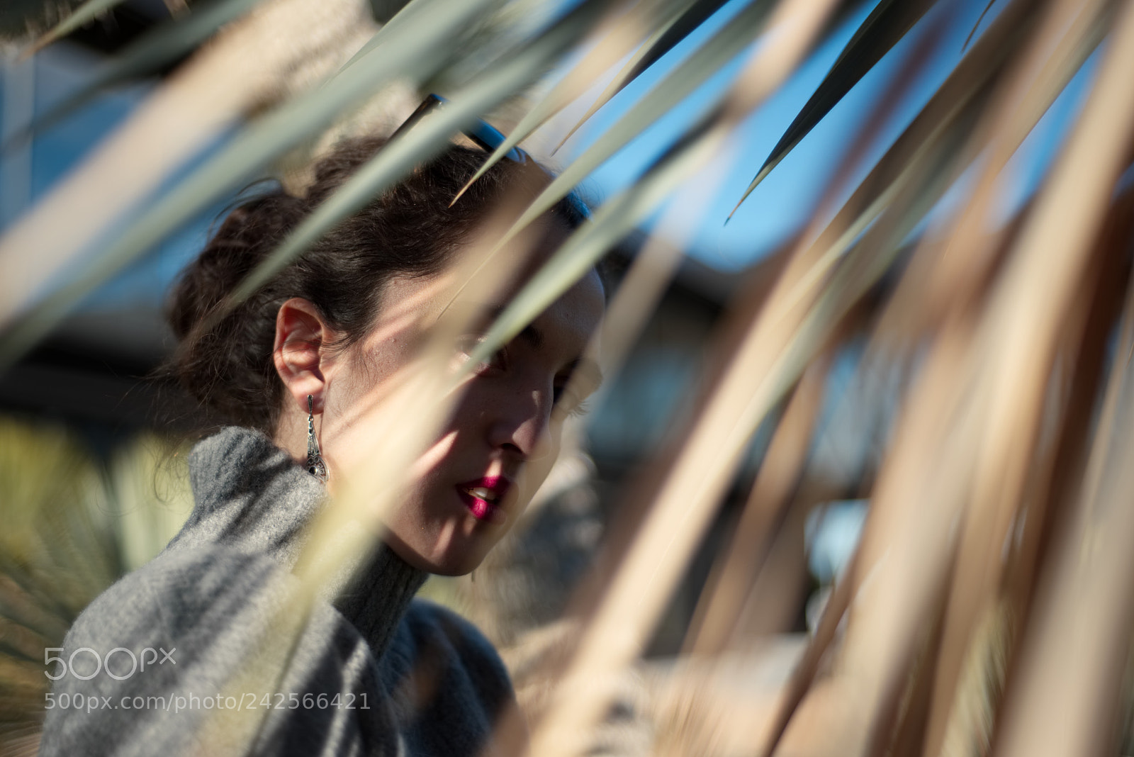 Nikon D610 sample photo. Shadows photography