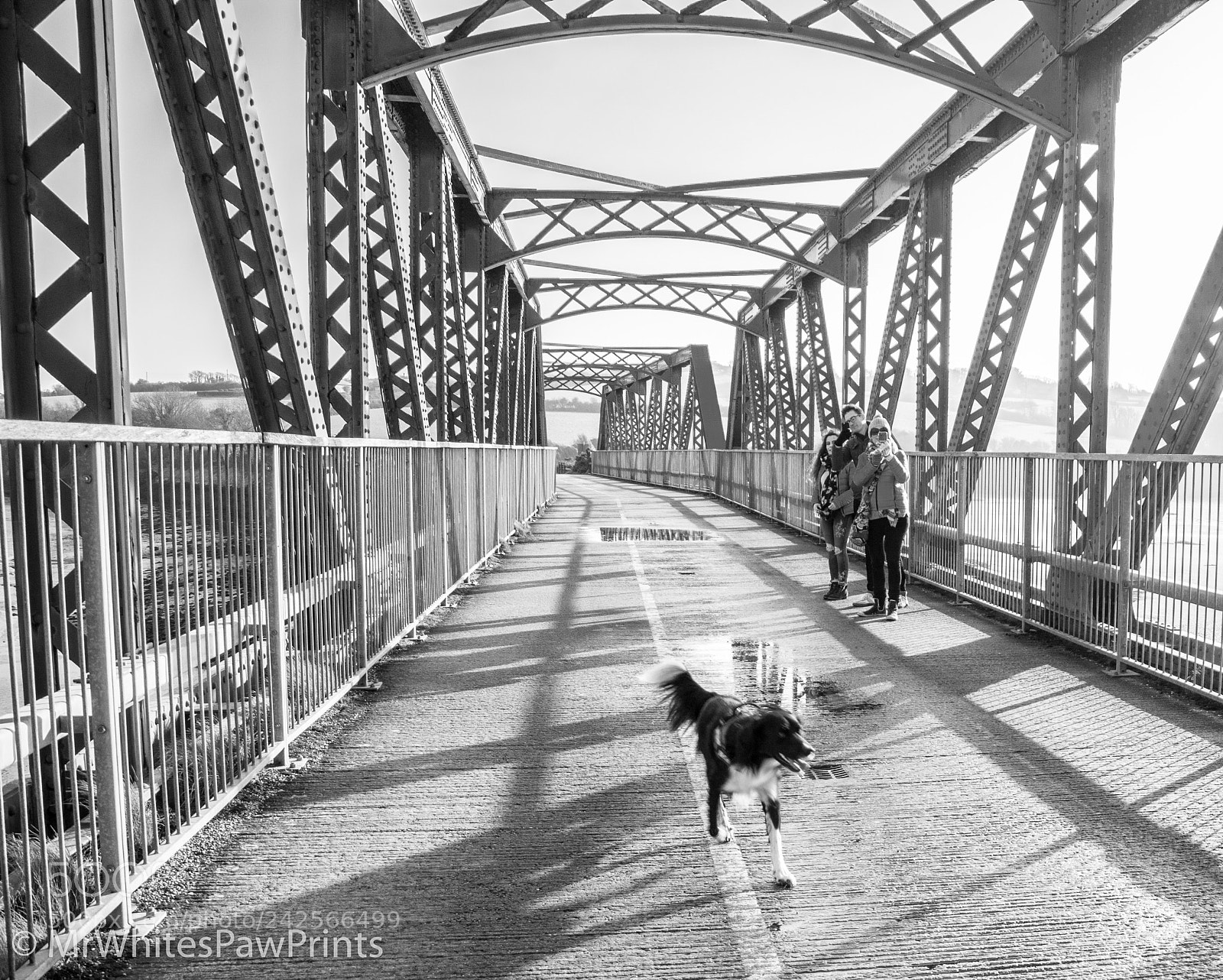 Nikon D7100 sample photo. Max & co. photography