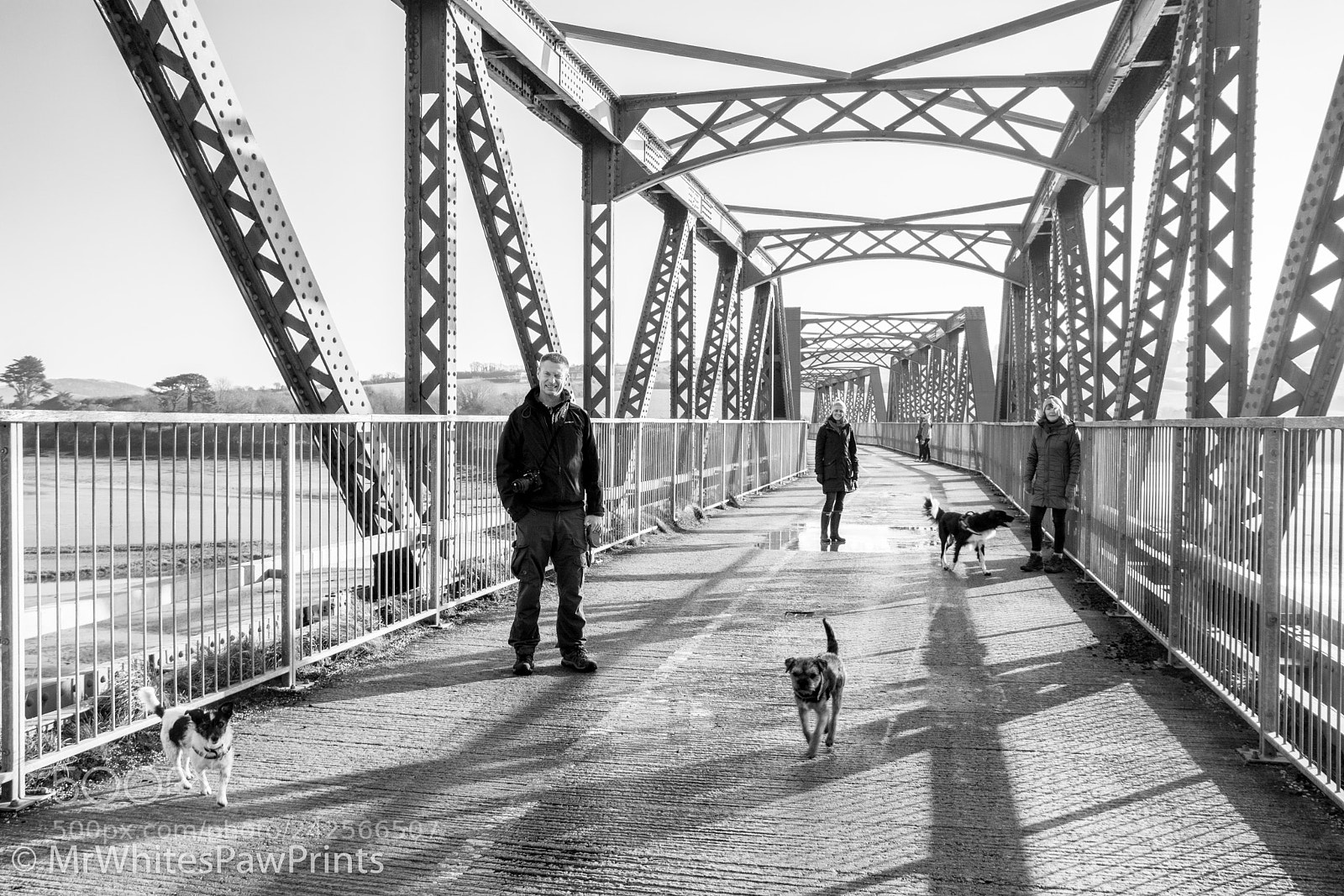 Nikon D7100 sample photo. The usual suspects photography