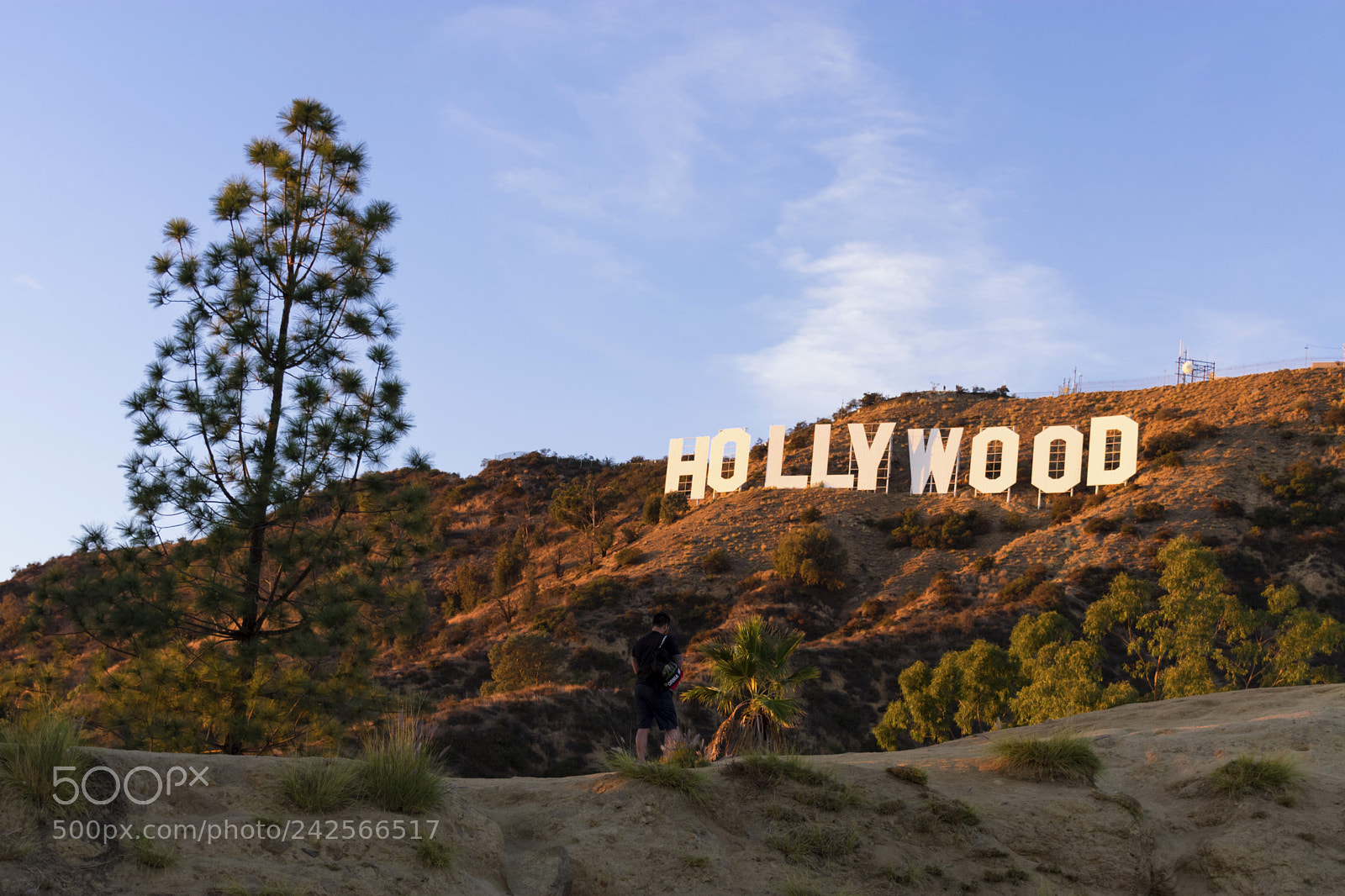 Nikon D3400 sample photo. Hollywood sign , close up photography