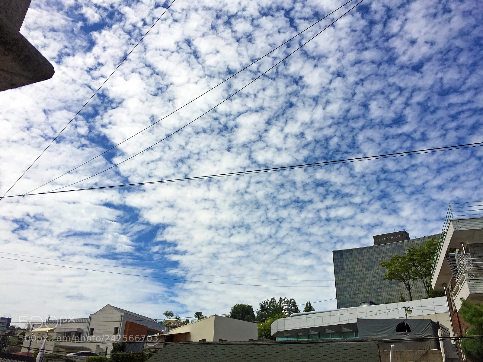 Apple iPhone 6 sample photo. Sky cloud photography