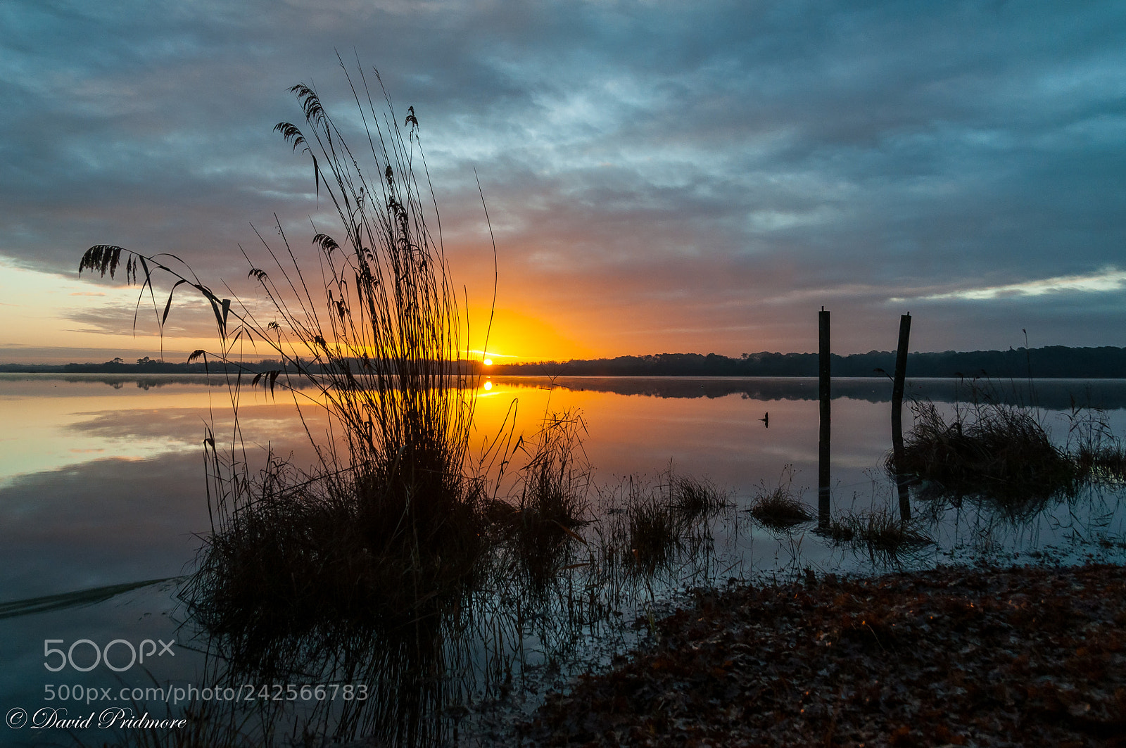Nikon D90 sample photo. Sunrise photography