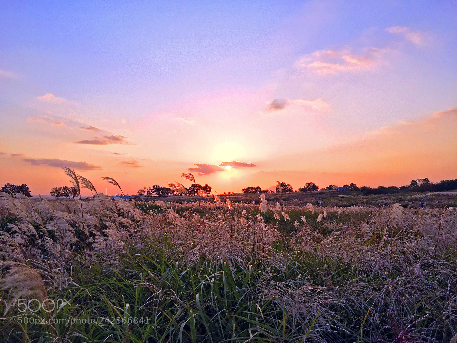 Apple iPhone 6 sample photo. Mapo skypark sunset photography