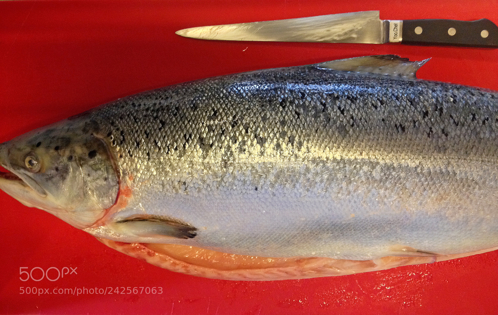 Apple iPhone 4S sample photo. Salmon fish photography
