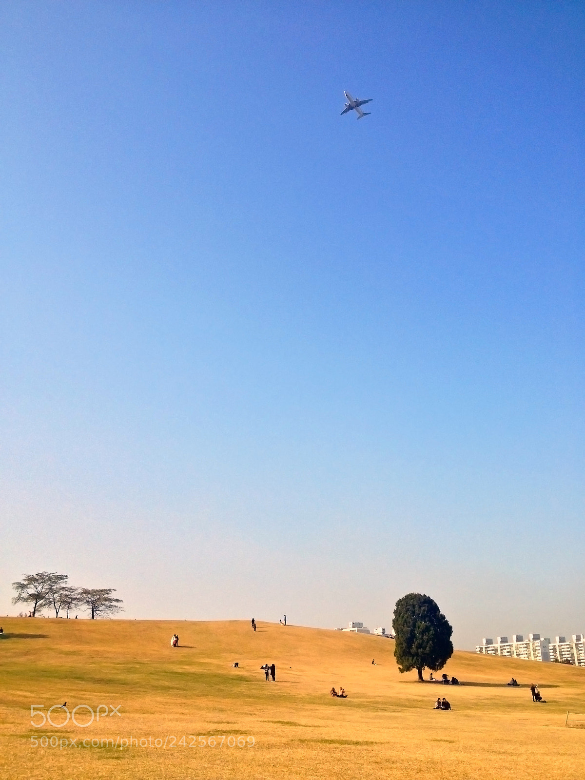 Apple iPhone 4S sample photo. Olympic park along tree photography