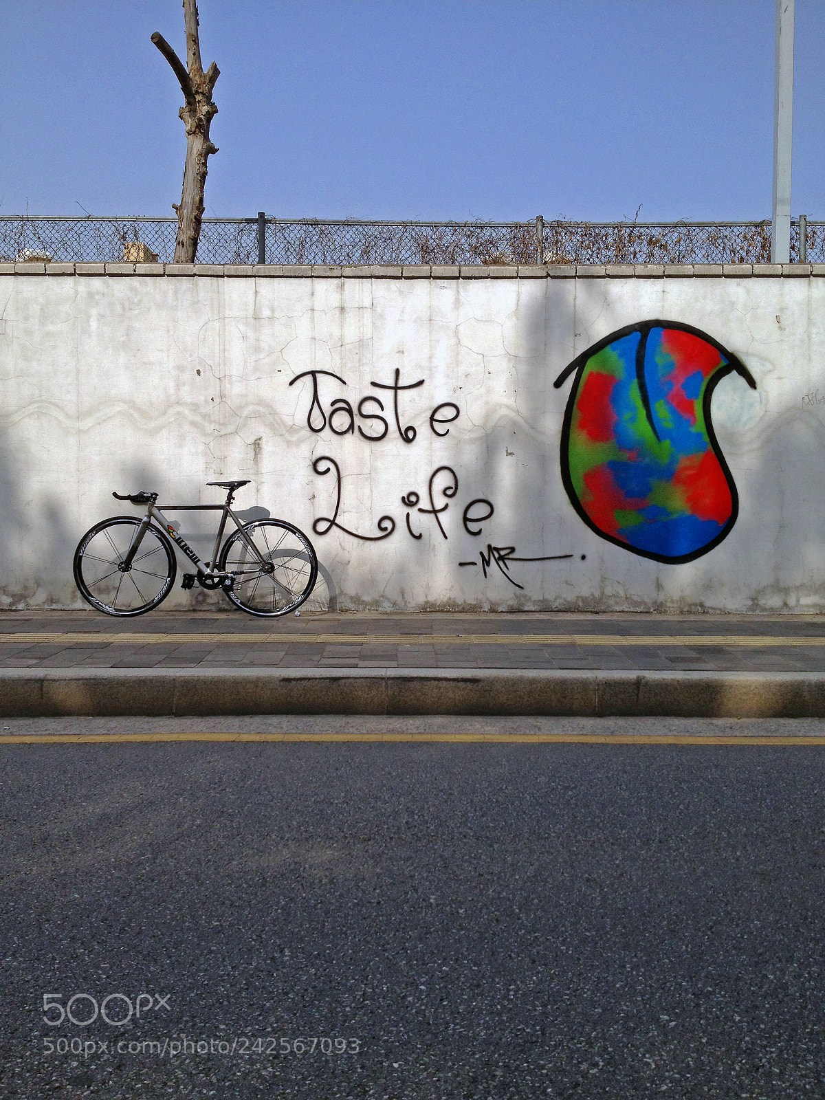 Apple iPhone 4S sample photo. Taste life photography