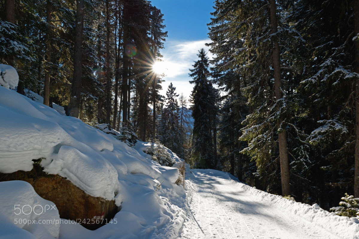 Nikon D800 sample photo. Untitled photography