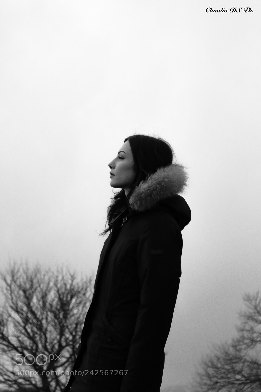 Canon EOS 750D (EOS Rebel T6i / EOS Kiss X8i) sample photo. Into the clouds. photography