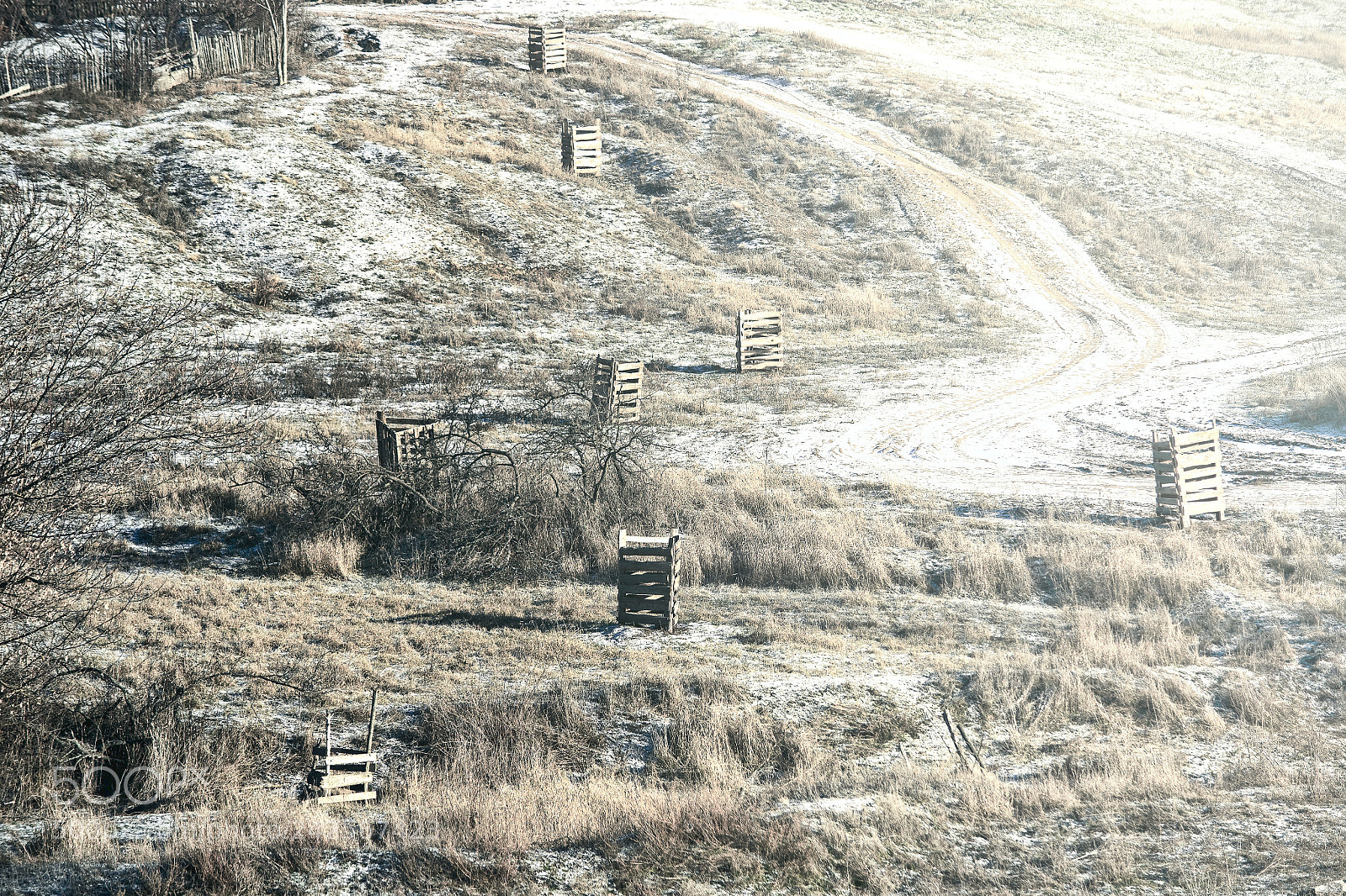 Nikon D3100 sample photo. как смарт объект photography