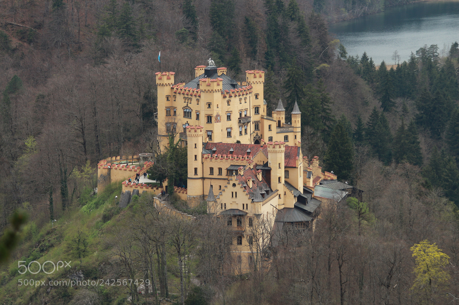 Canon EOS 650D (EOS Rebel T4i / EOS Kiss X6i) sample photo. Schloss hohenschwangau photography