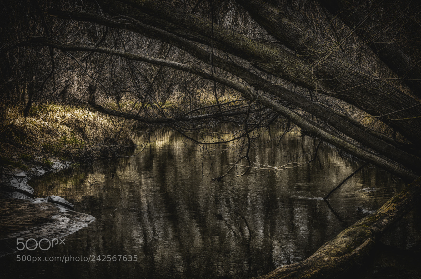 Pentax K-5 sample photo. Des moines river near photography