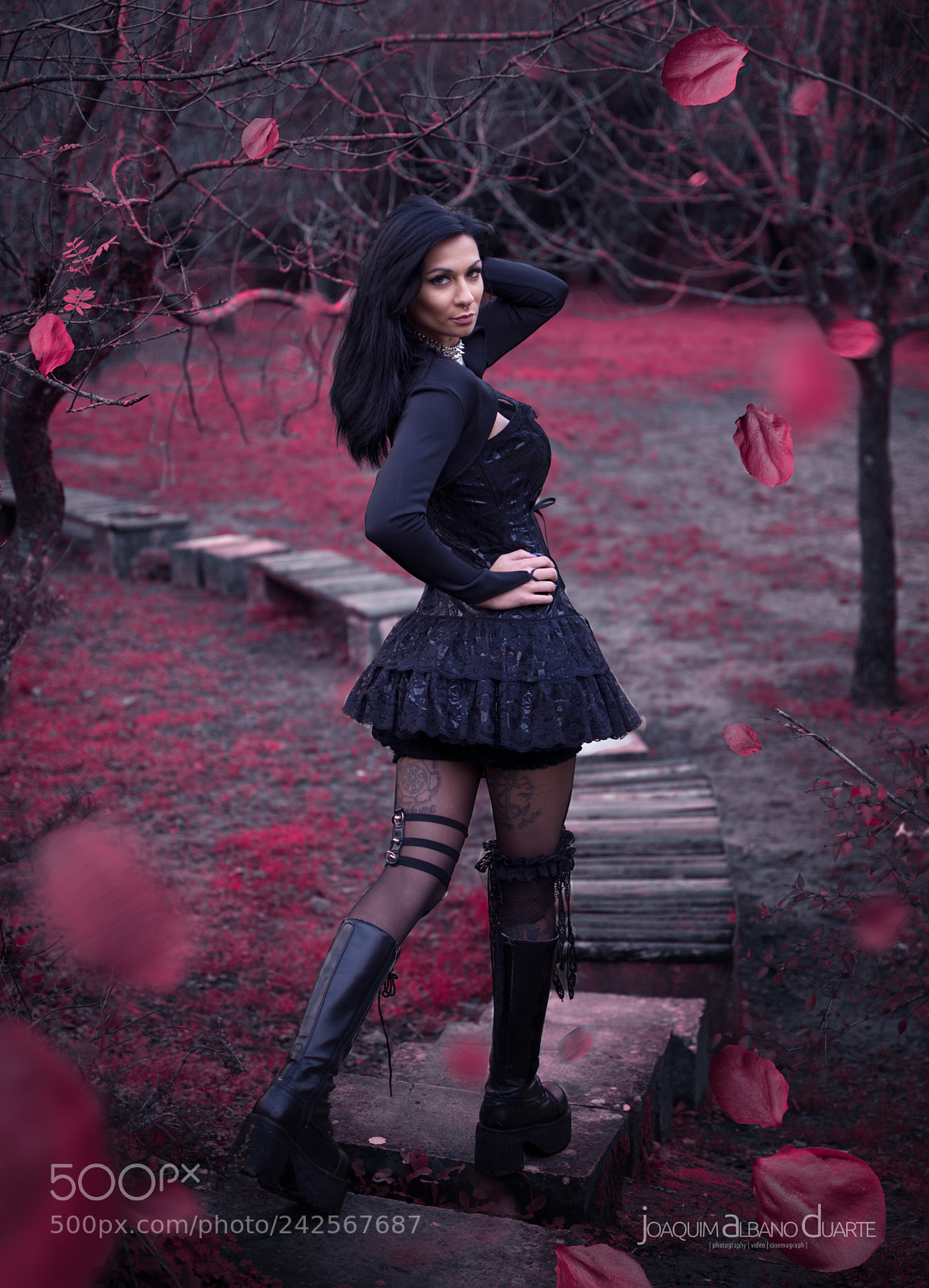 Nikon D7100 sample photo. I'm not cinderella and photography