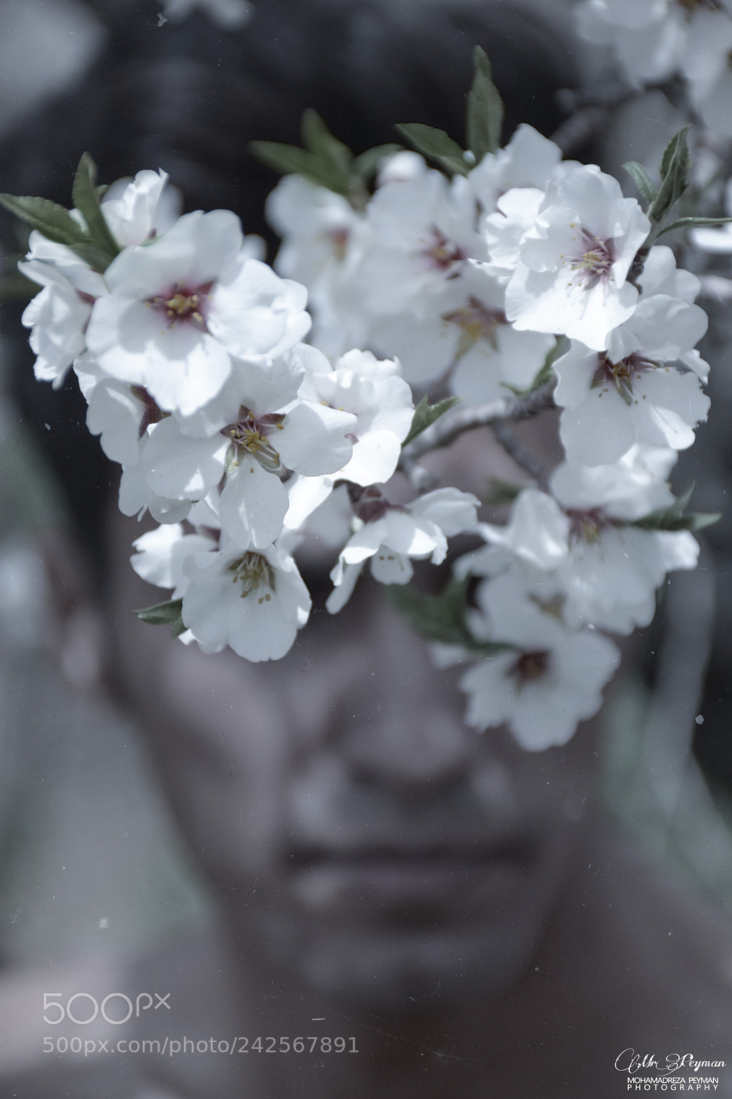 Nikon D7200 sample photo. Adam photography
