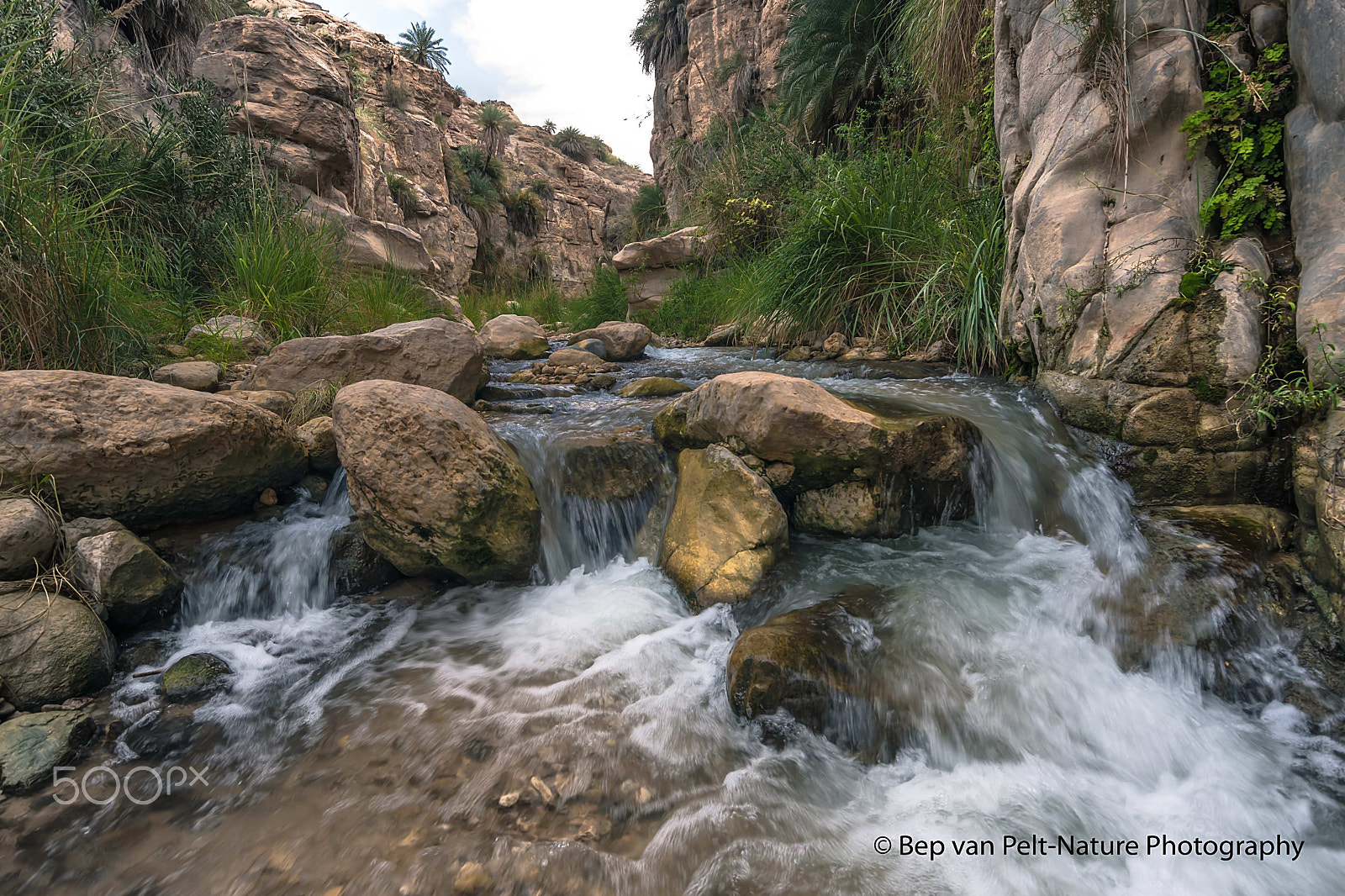 Nikon D500 sample photo. Water in the jordan desert (ii) photography