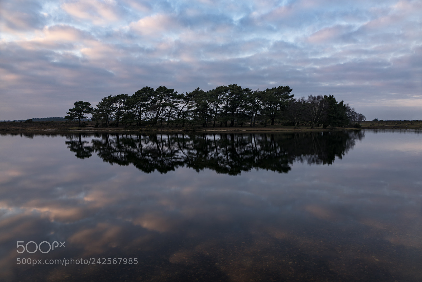 Nikon D810 sample photo. Hatchet pond photography