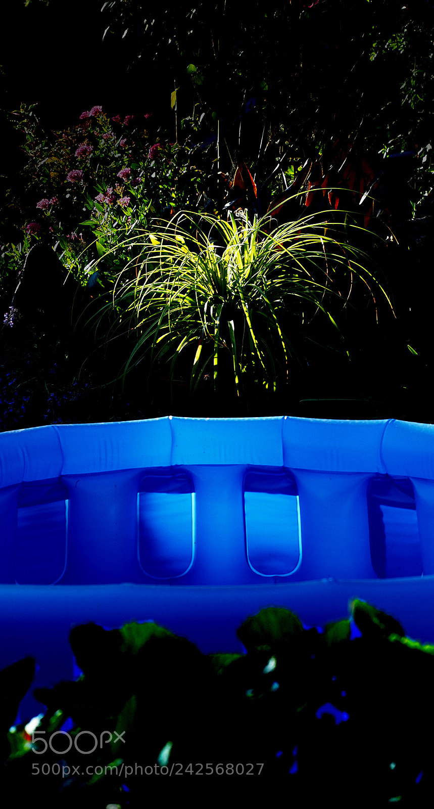 Olympus OM-D E-M5 II sample photo. Moonlight and pool photography
