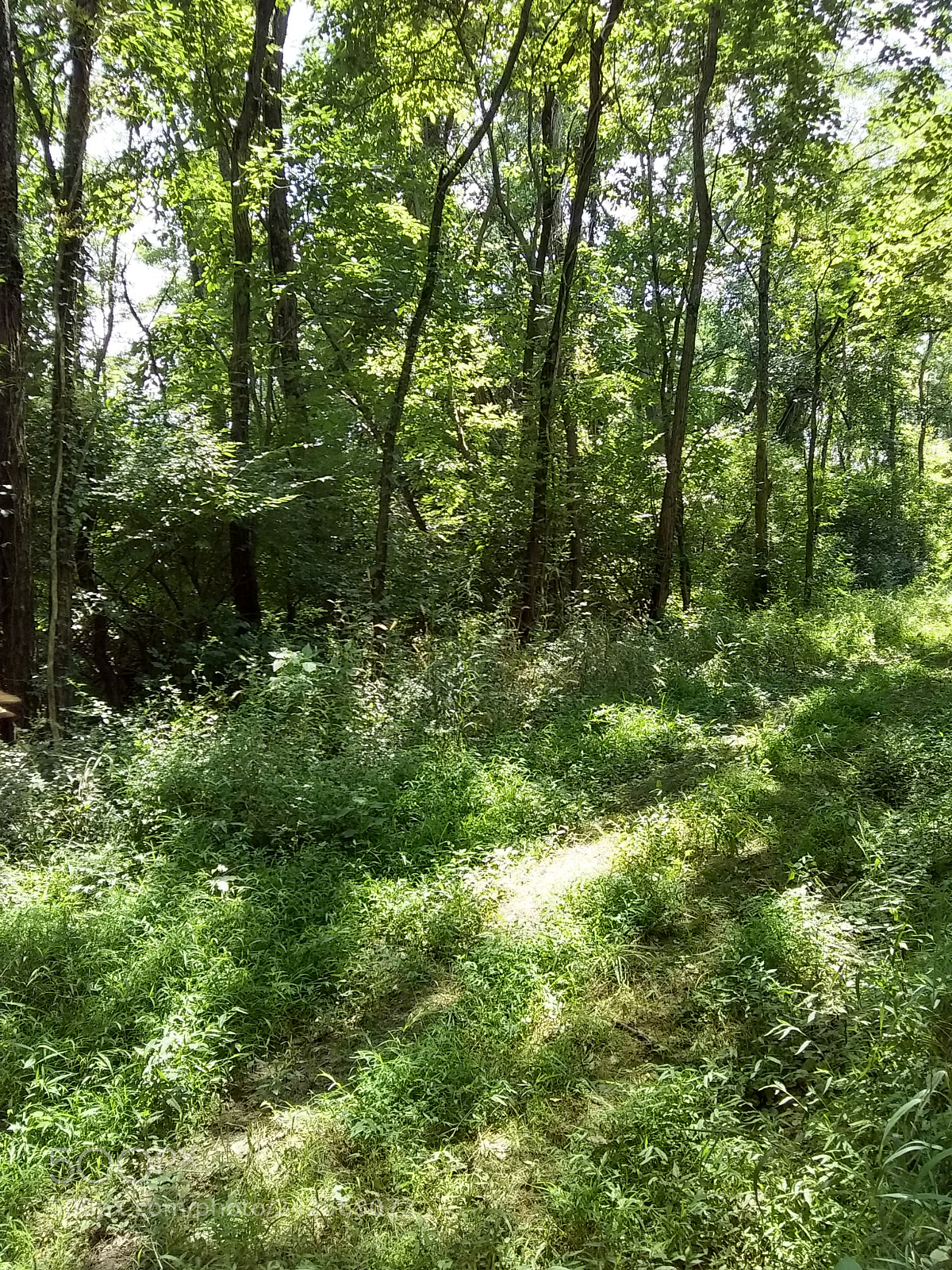 Motorola Moto E4 sample photo. Untitled photography