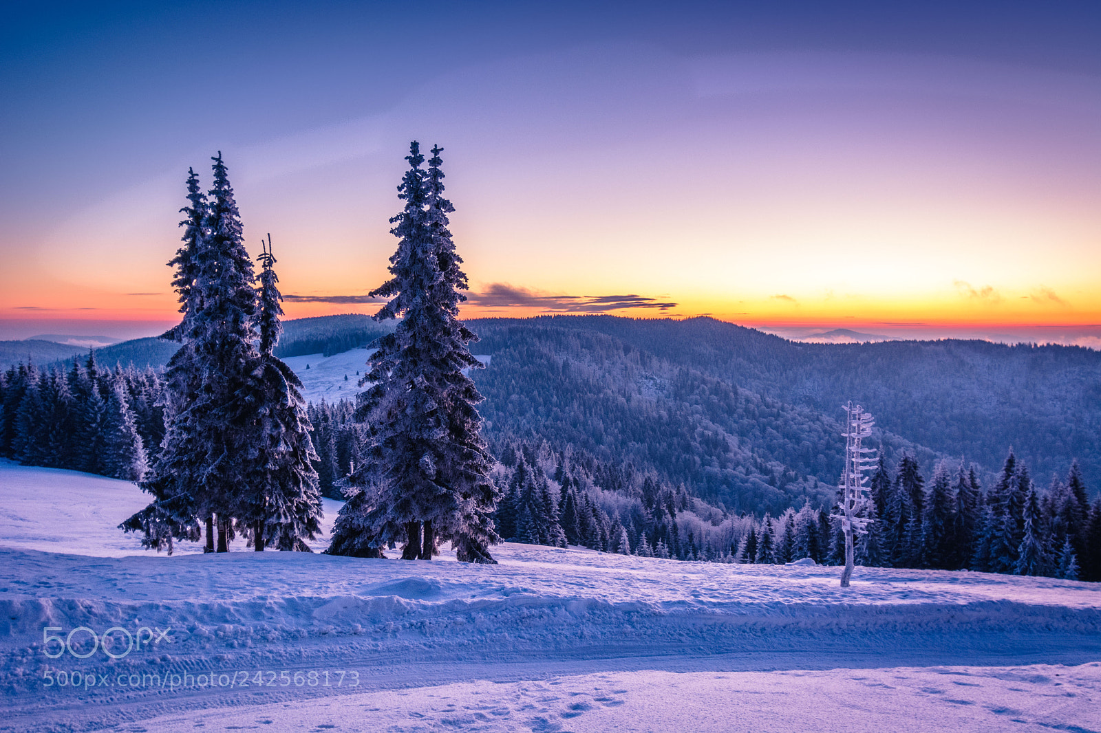 Nikon D7100 sample photo. Winter morning photography