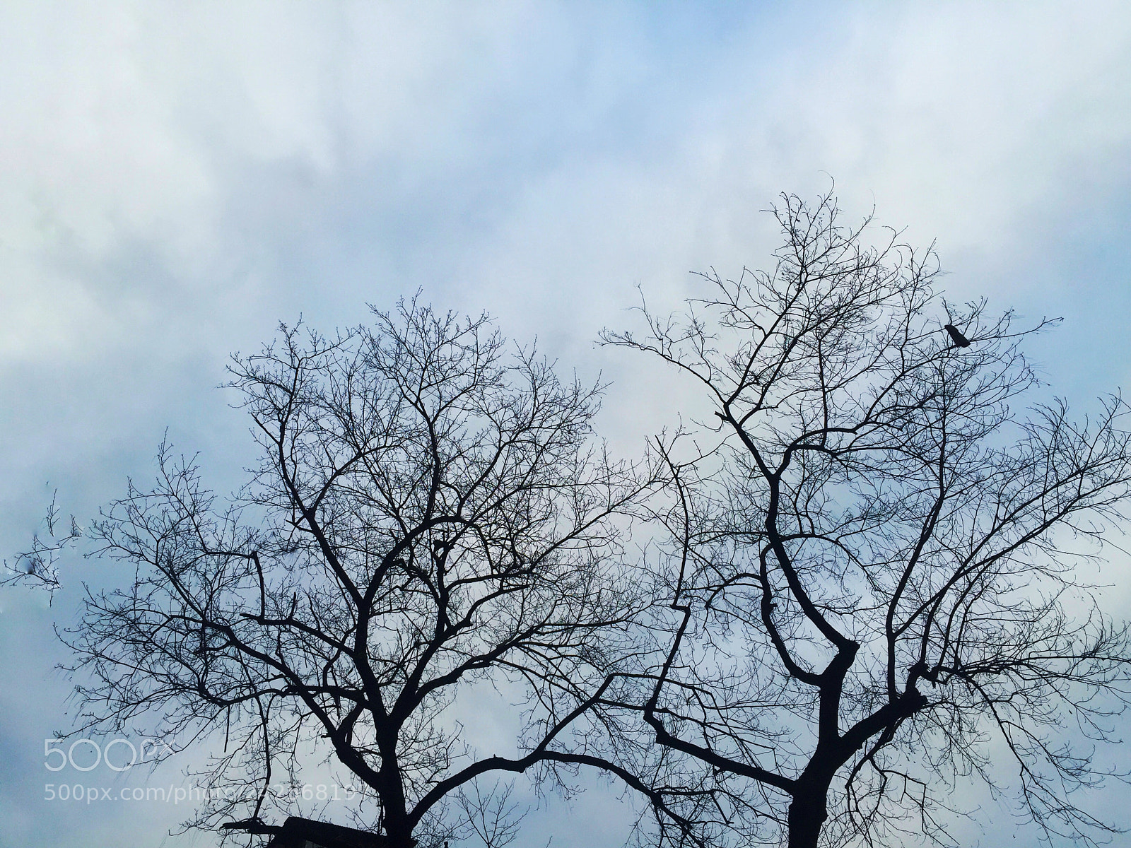 Apple iPhone 6 sample photo. Untitled photography