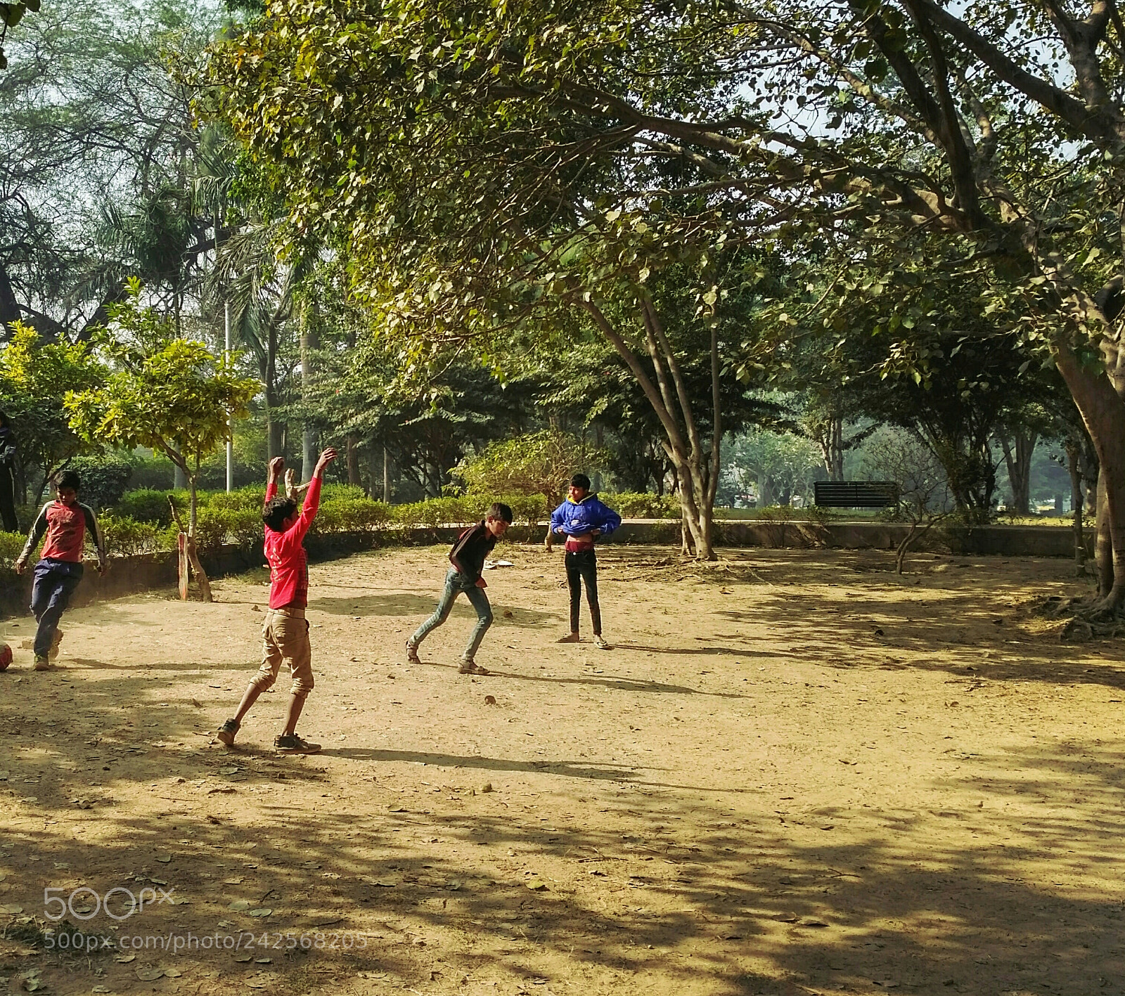 Xiaomi Redmi 3S sample photo. Untitled photography