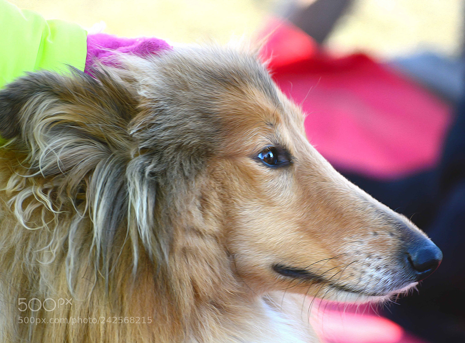 Nikon D7100 sample photo. Untitled photography