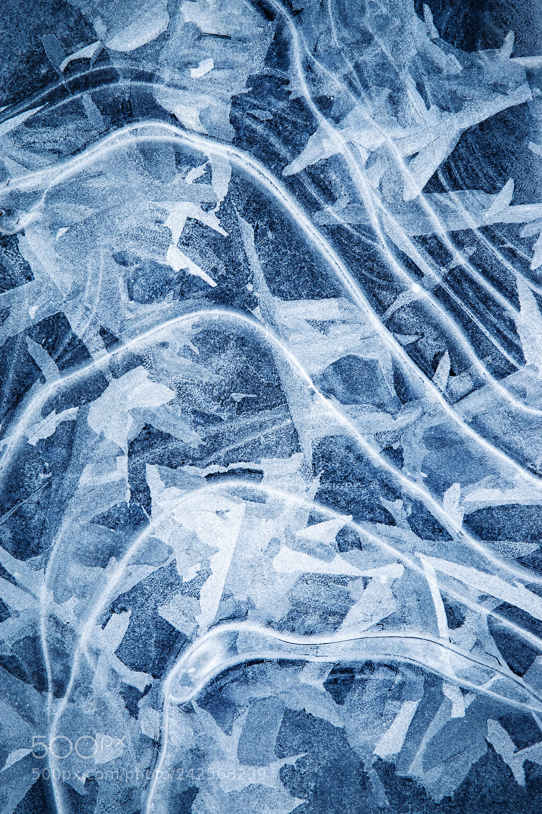 Nikon D5500 sample photo. Lines on frozen water photography