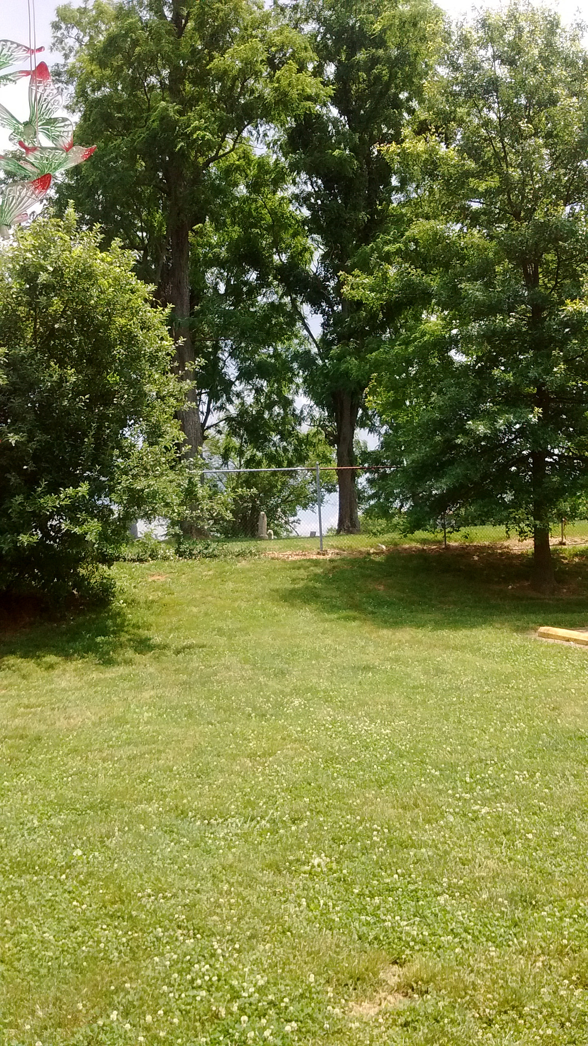 Motorola Moto E with 4G LTE (2nd Gen) sample photo