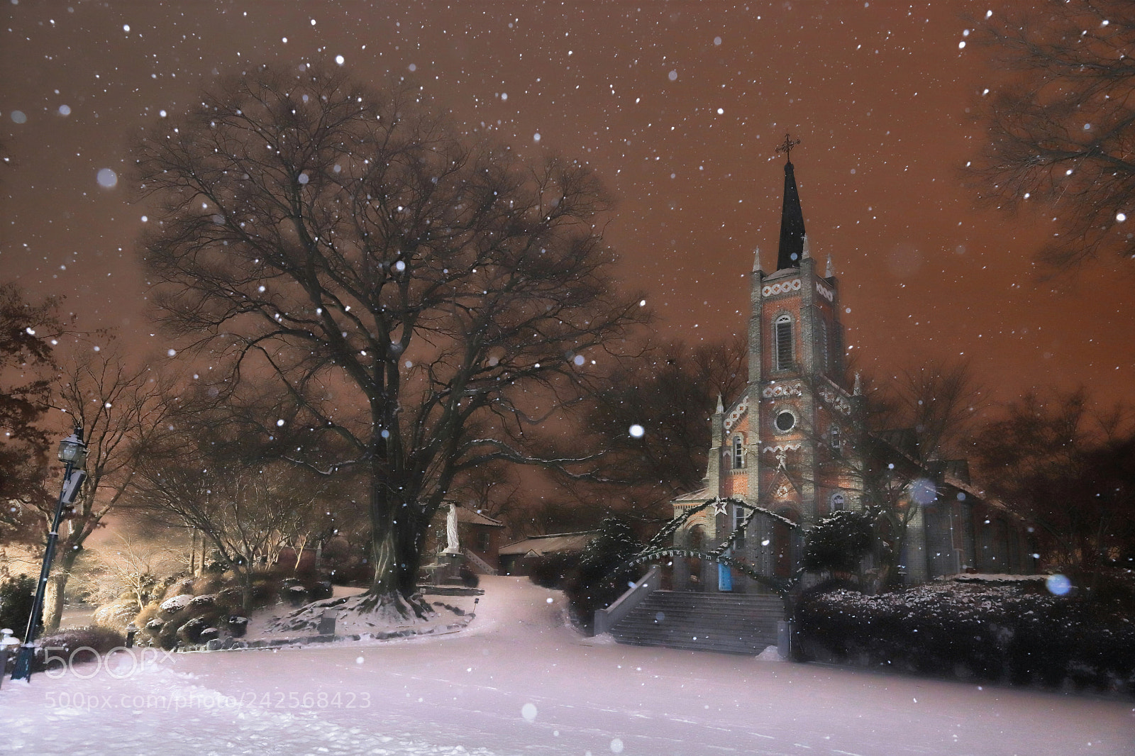 Canon EOS 6D Mark II sample photo. 5:00 am, snowy night.  photography