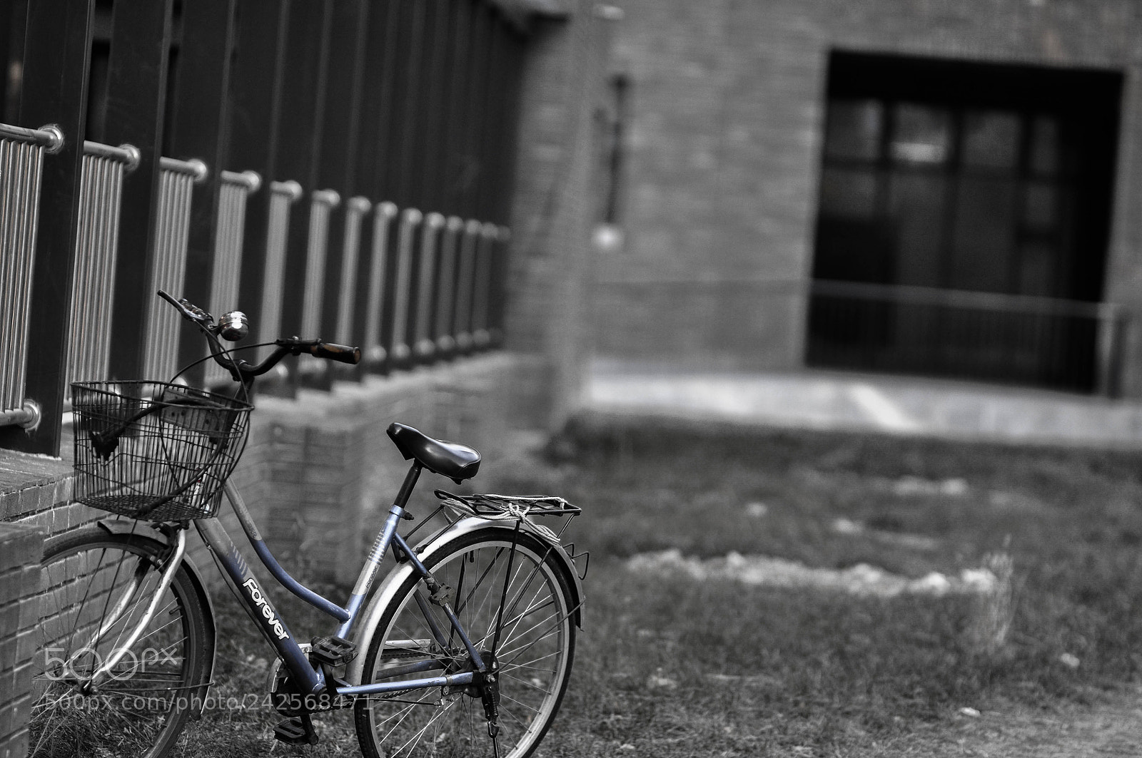 Nikon D90 sample photo. Untitled photography