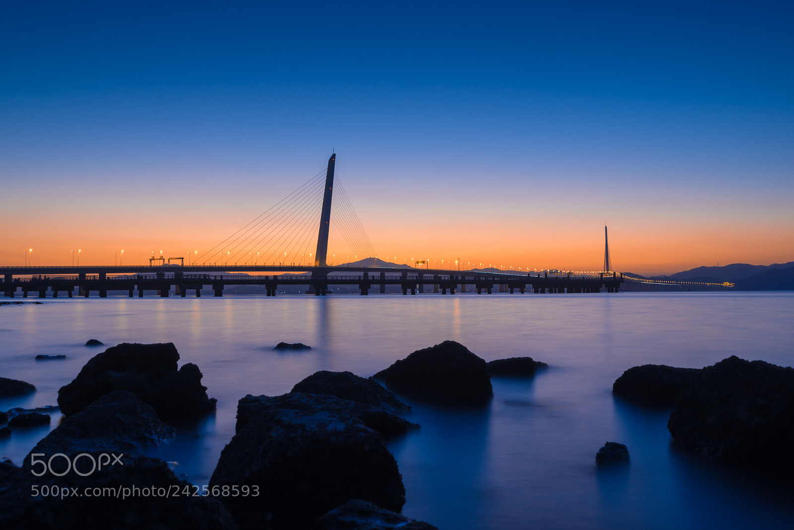 Nikon D610 sample photo. 深圳湾 photography