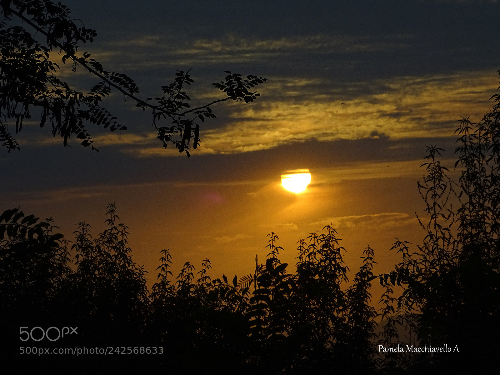 Sony Cyber-shot DSC-HX400V sample photo. Sunset photography