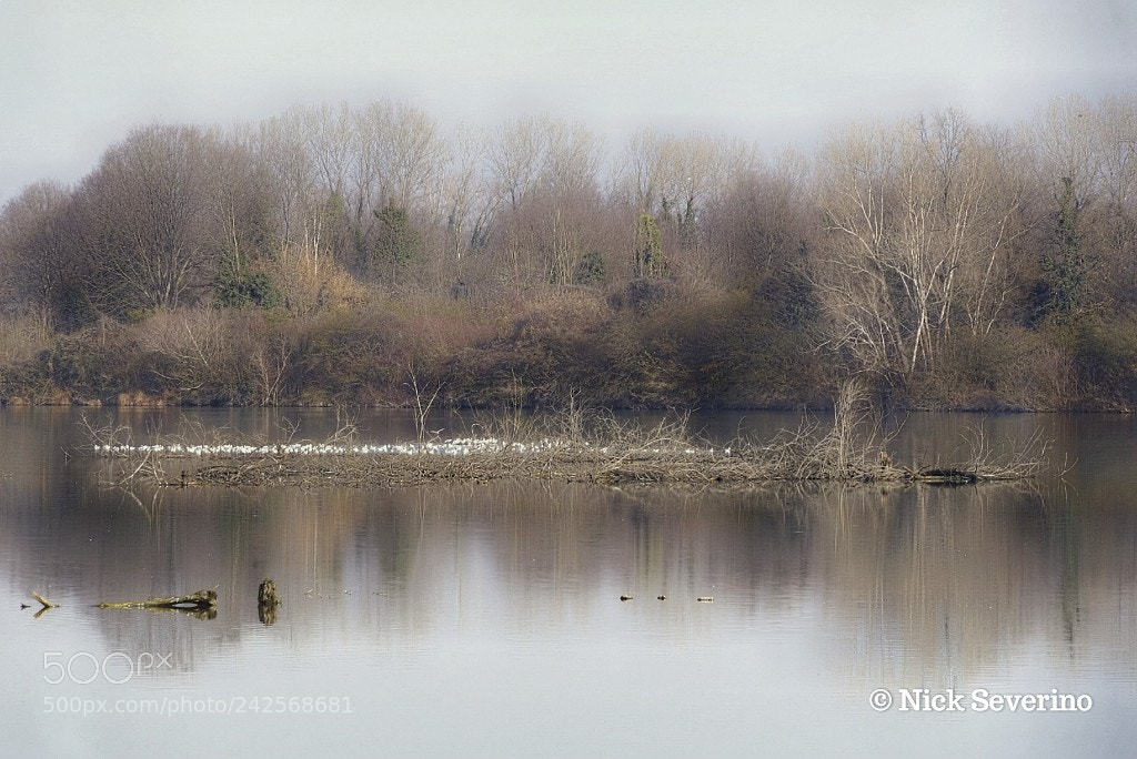 Sony a7R sample photo. Flat calm photography