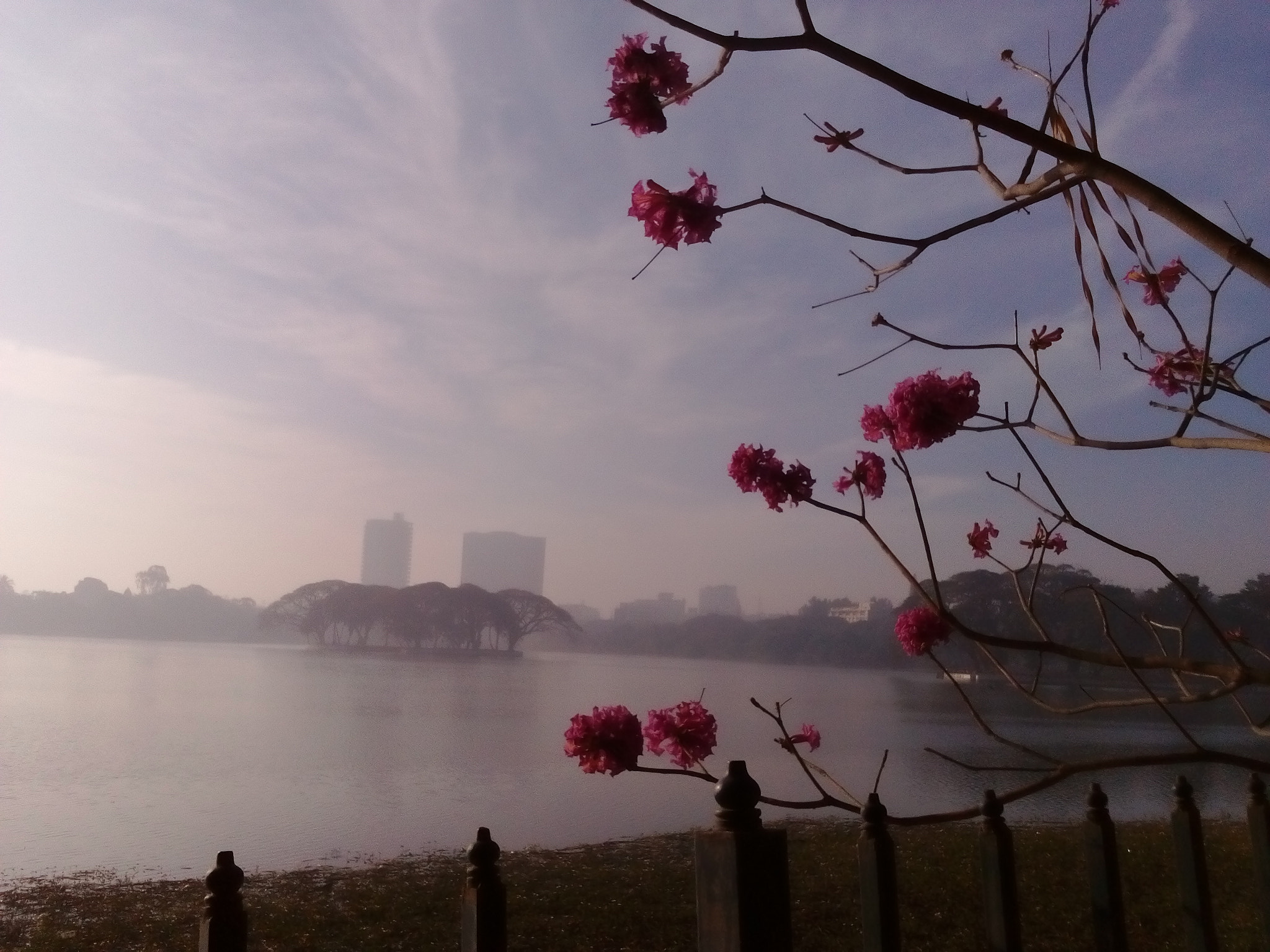 LG MAX sample photo. Ulsoor lake bangalore photography