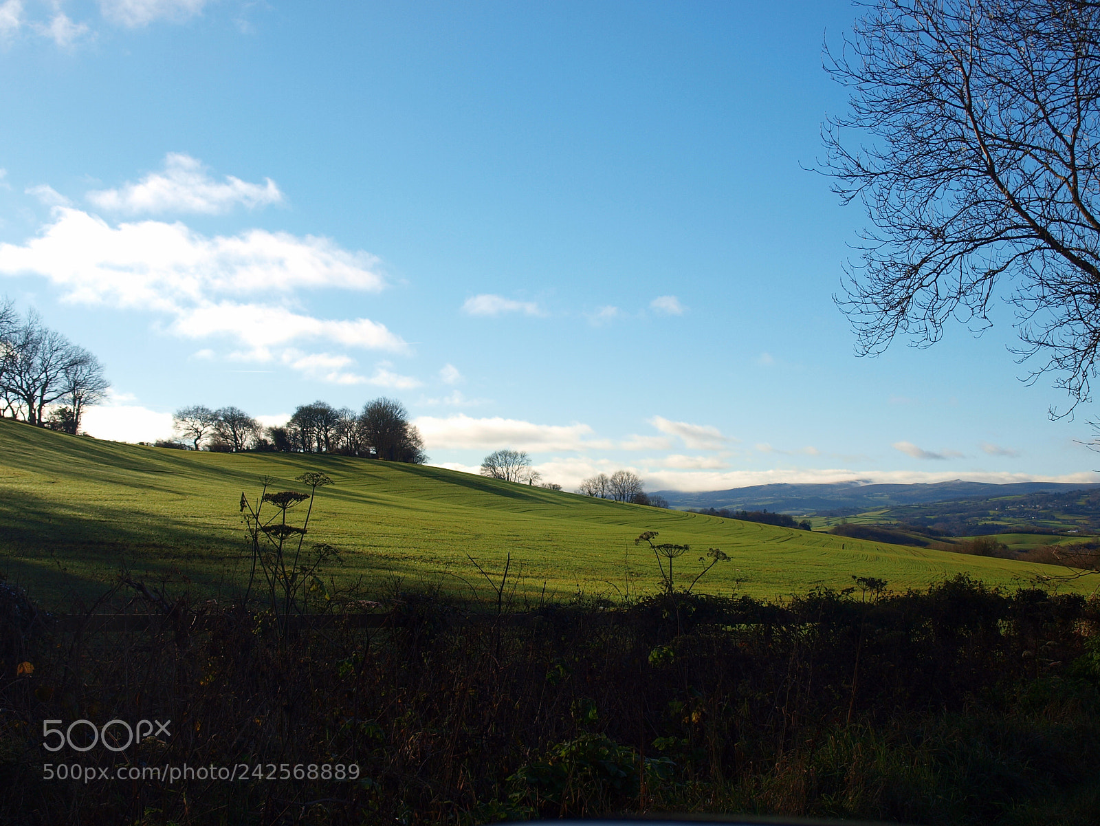 Olympus E-420 (EVOLT E-420) sample photo. Glorious devon photography
