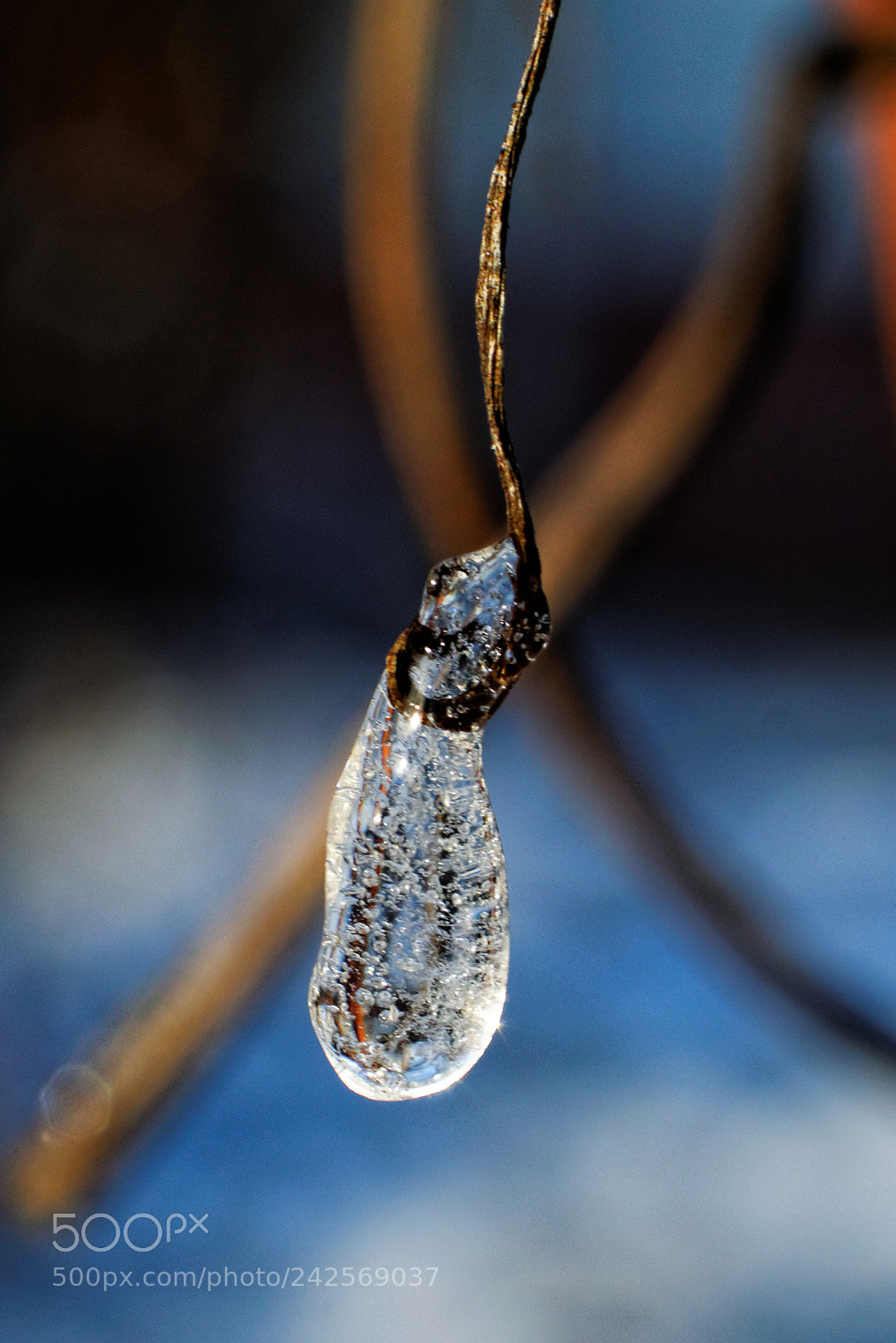 Nikon D5300 + Nikon AF-S DX Nikkor 35mm F1.8G sample photo. Winter jewelry photography