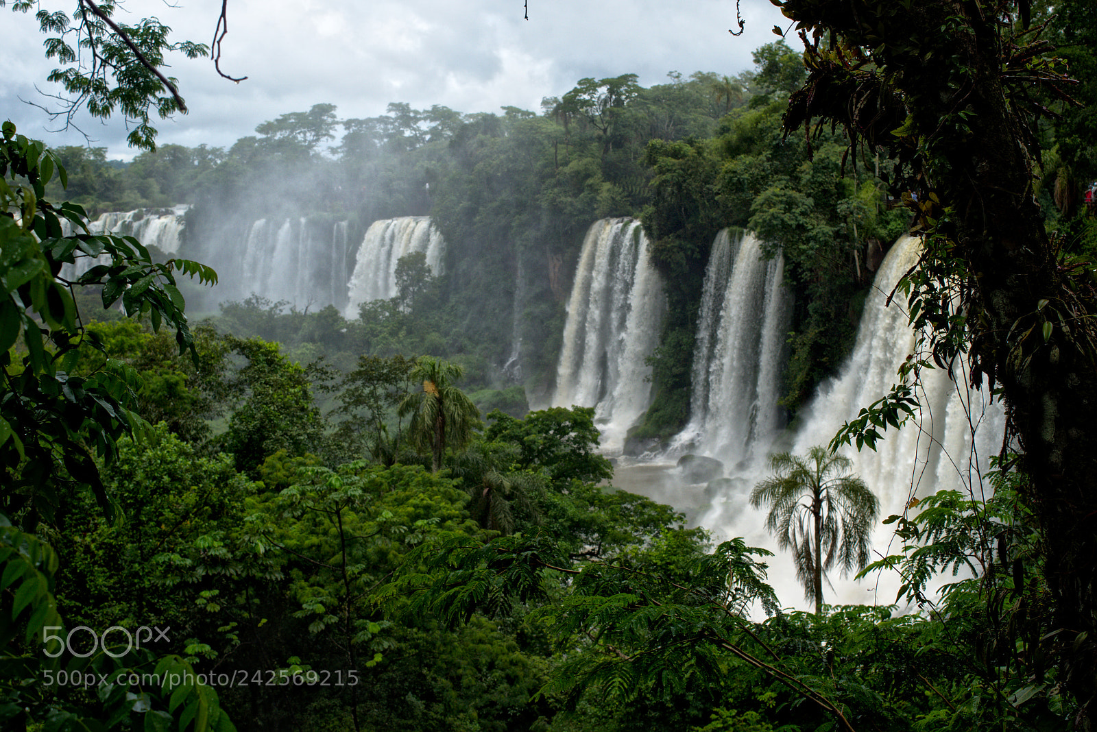 Nikon D5500 sample photo. Iguazu iv photography