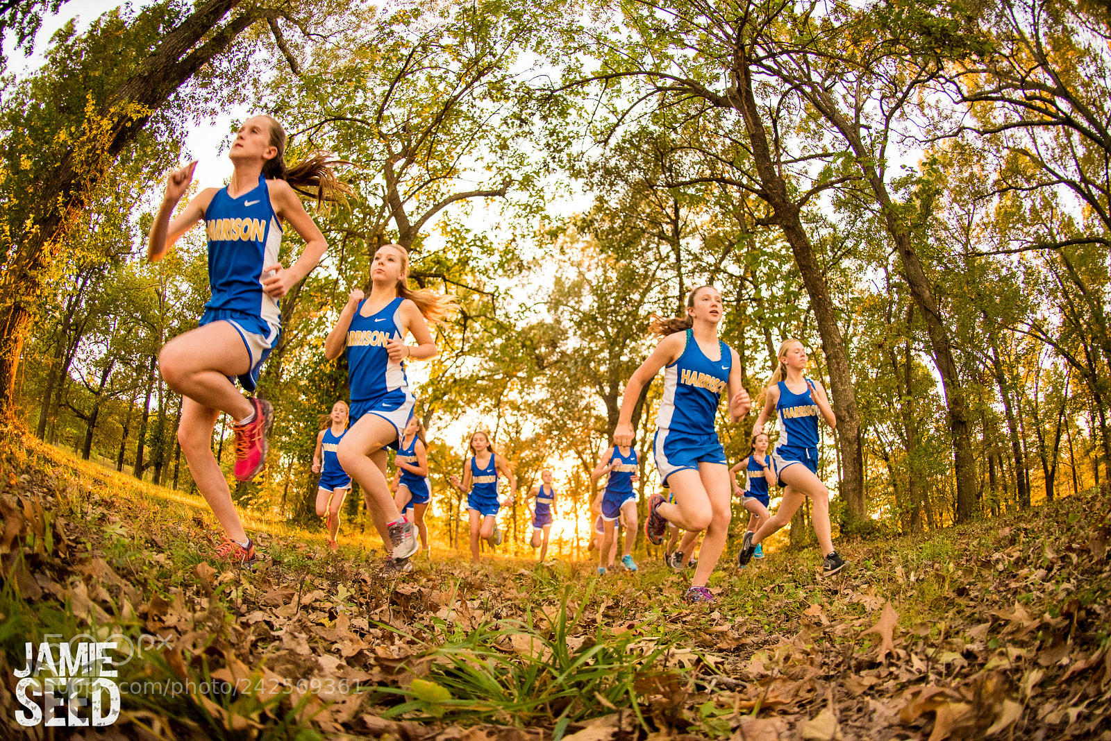 Nikon D750 sample photo. Cross country champs photography