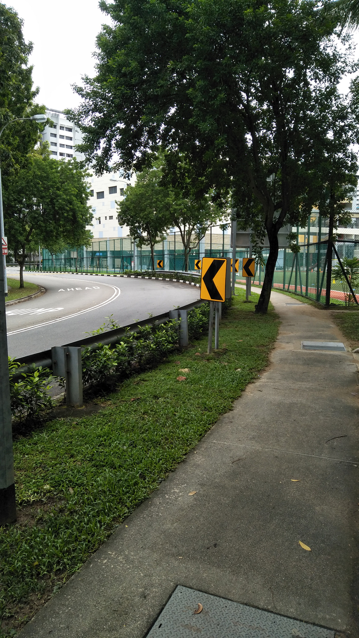 OPPO CPH1701 sample photo