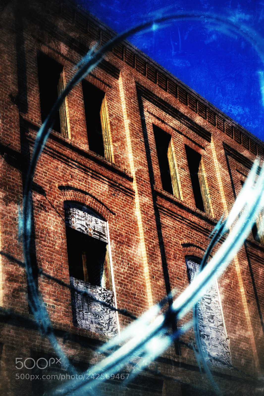 Nikon D3100 sample photo. Untitled photography