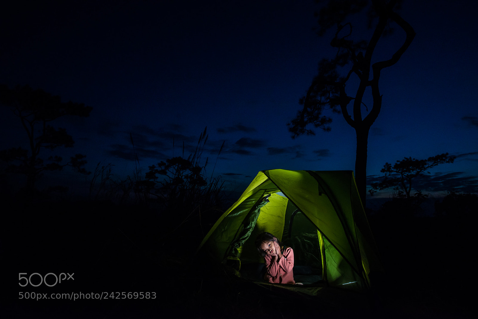 Nikon D610 sample photo. Girl camping photography